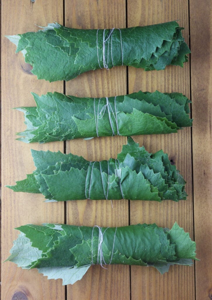 How to roll fresh grape vine leaves for winter preserve.